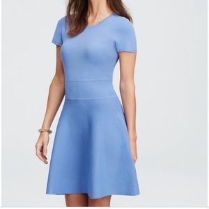 Ann Taylor Flare Sweater Dress